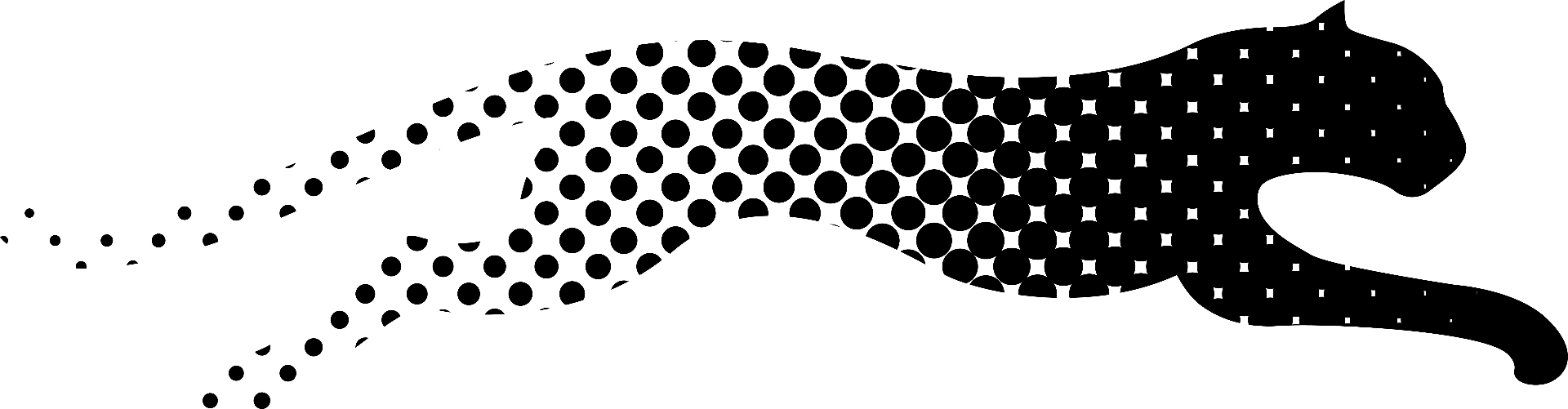 Excellera cheetah symbol
